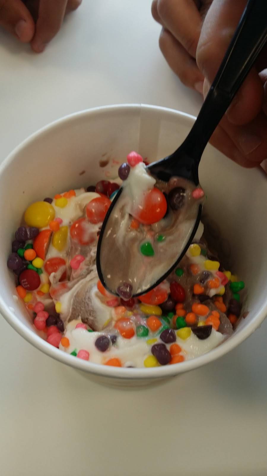 Yogurtology | restaurant | 5017, 1202 S Church Ave suite c, Tampa, FL 33629, USA | 8132512717 OR +1 813-251-2717