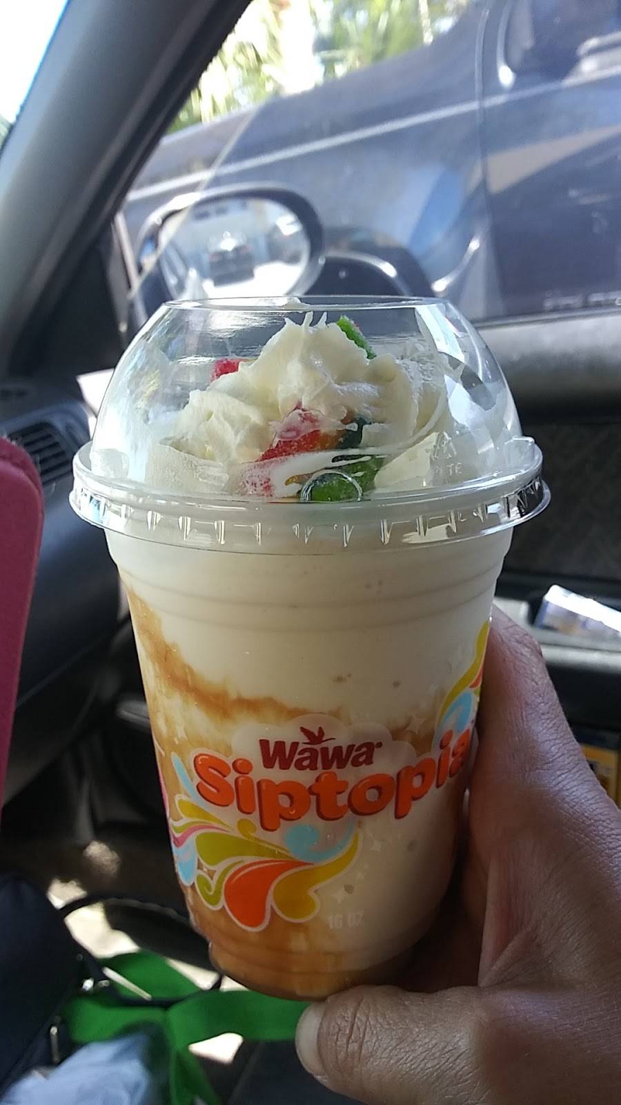 Wawa | cafe | 8519 US-19, Port Richey, FL 34668, USA | 7272191010 OR +1 727-219-1010