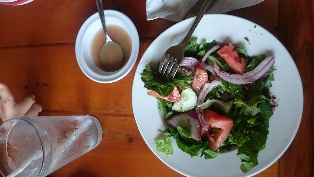 Ollies Lebanese Cuisine | restaurant | 16351 Ford Rd #100, Dearborn, MI 48126, USA | 3132531010 OR +1 313-253-1010