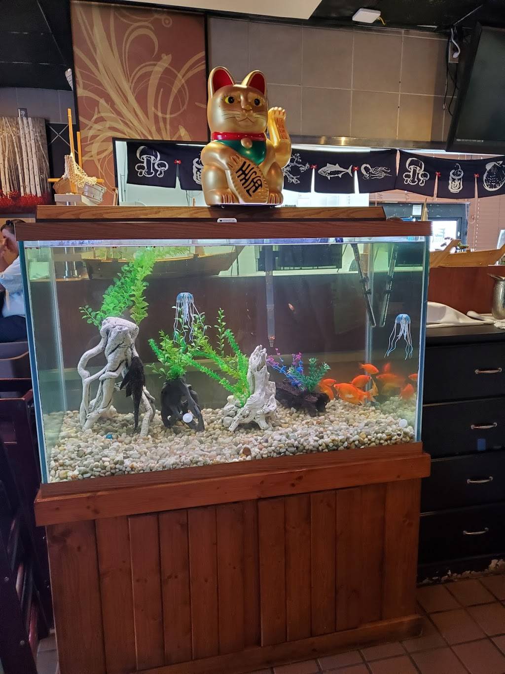 Fuji Asian Bistro | restaurant | 9001 Richlands Hwy, Richlands, NC 28574, USA | 9103246888 OR +1 910-324-6888