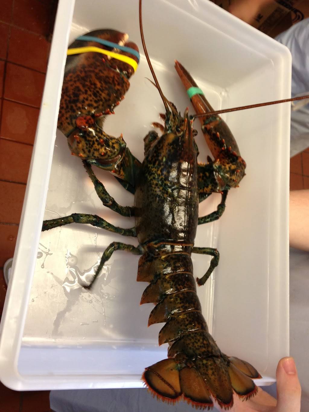 St. Peters Catch | restaurant | 58 S Erie Ave, Montauk, NY 11954, USA | 6316687100 OR +1 631-668-7100