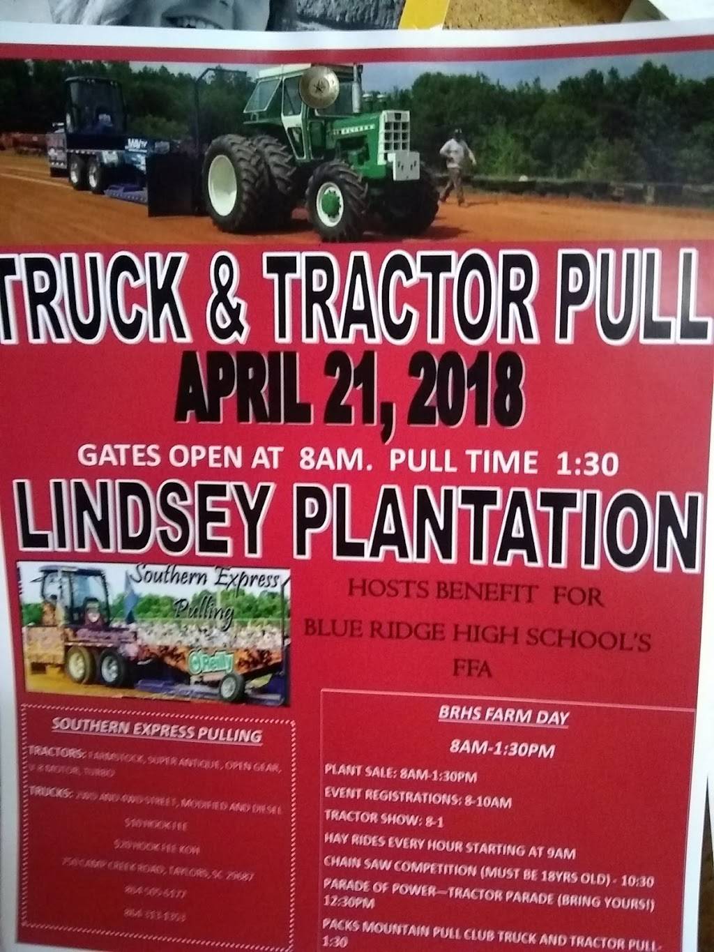 Thai & I | restaurant | 7862 N Tigerville Rd, Taylors, SC 29687, USA | 8648953949 OR +1 864-895-3949