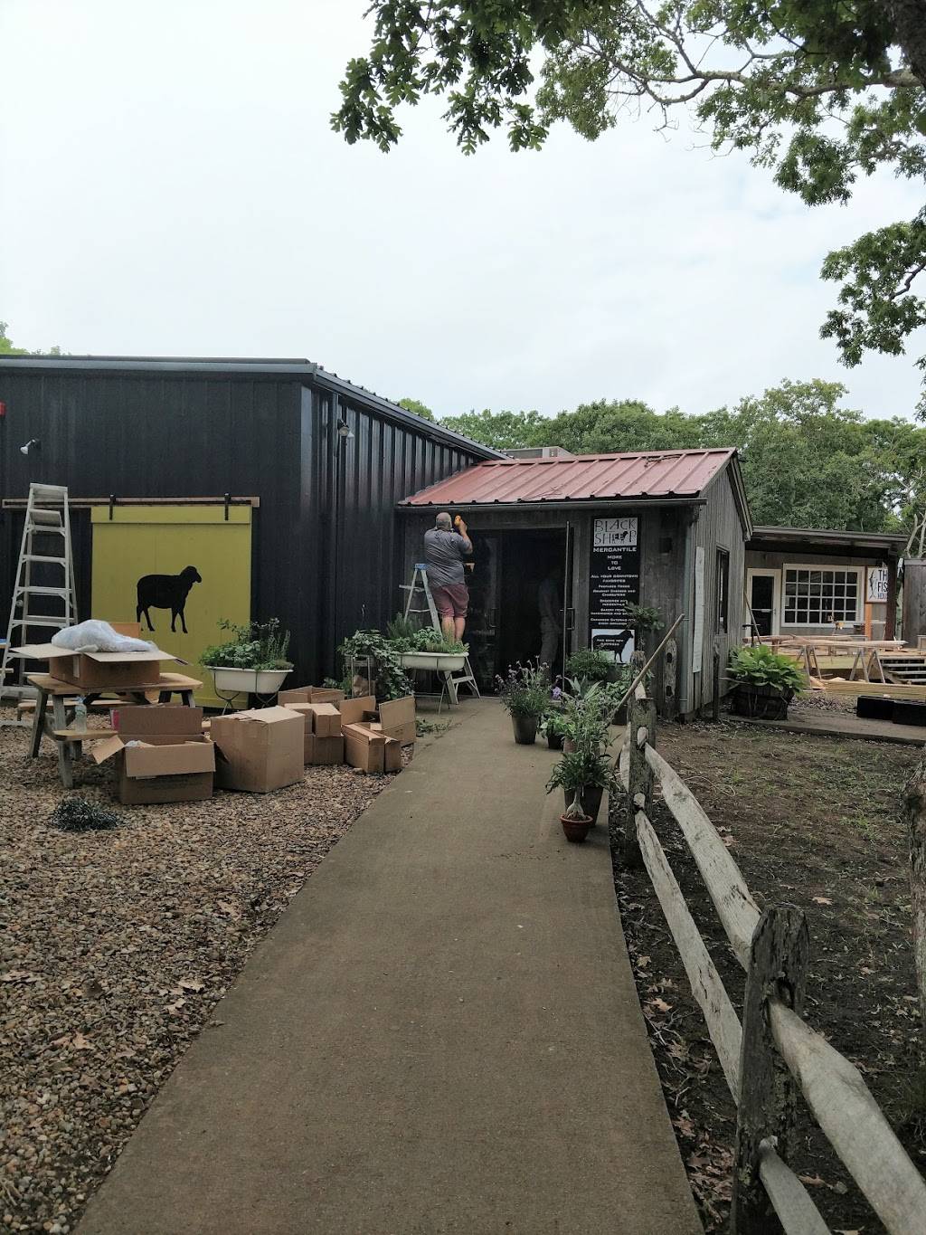 Black Sheep Mercantile | restaurant | 17 Airport Rd, Edgartown, MA 02539, USA | 5083387770 OR +1 508-338-7770
