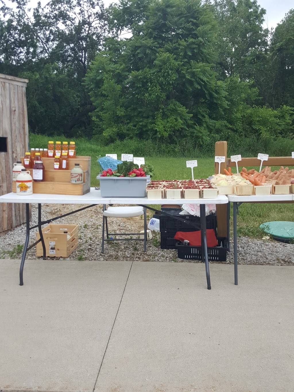 Top O-The Hill Restaurant | restaurant | 5140 Michigan Ave, Tipton, MI 49287, USA | 5174567220 OR +1 517-456-7220