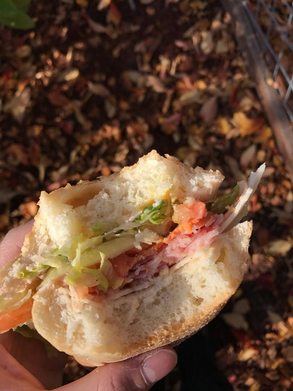 Sub Shop 9 | restaurant | 6058 California Ave SW, Seattle, WA 98136, USA | 2069357777 OR +1 206-935-7777