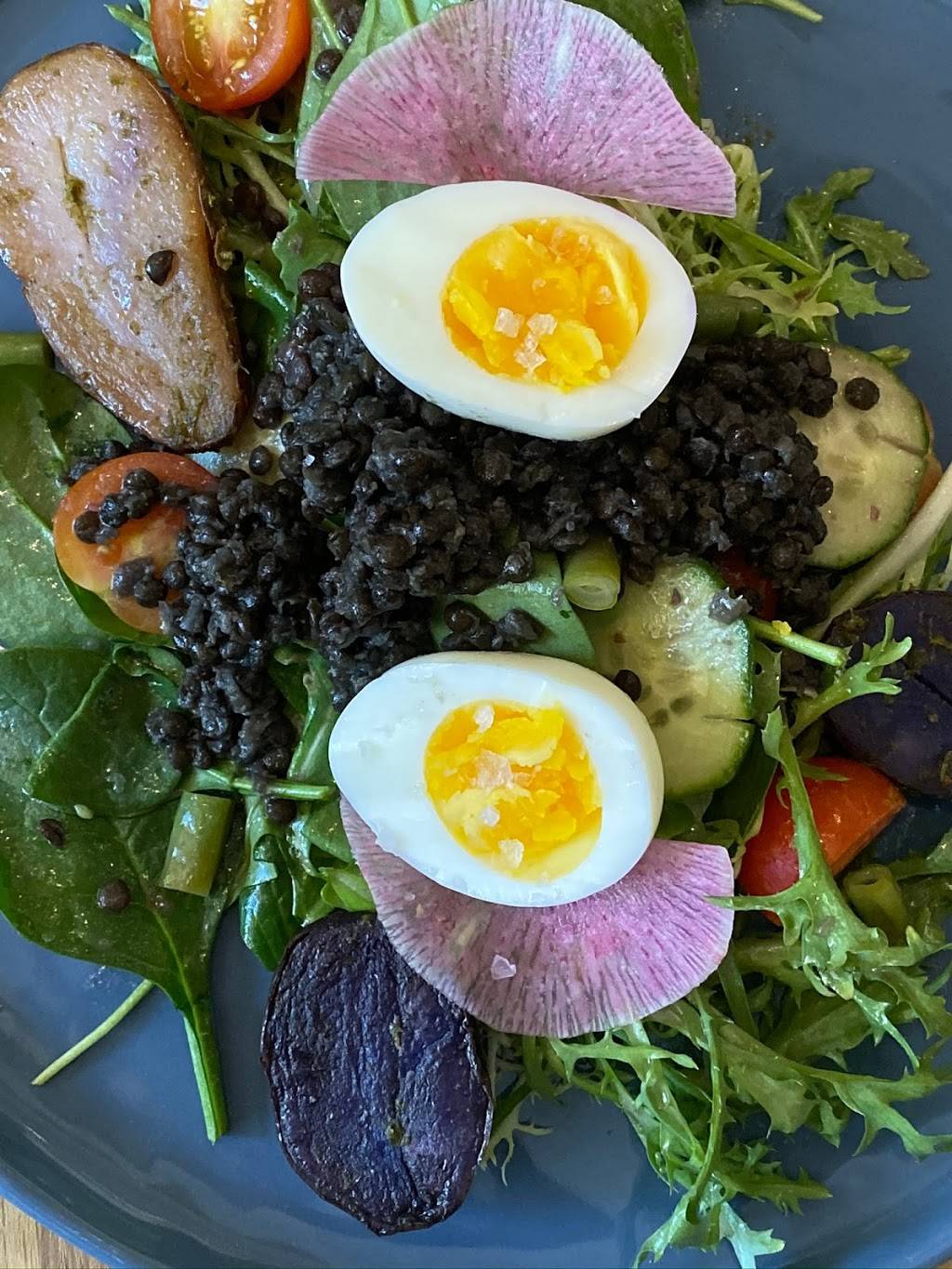 Someones Son | restaurant | 804 Douglas Rd Suite 145, Coral Gables, FL 33134, USA | 7863346374 OR +1 786-334-6374