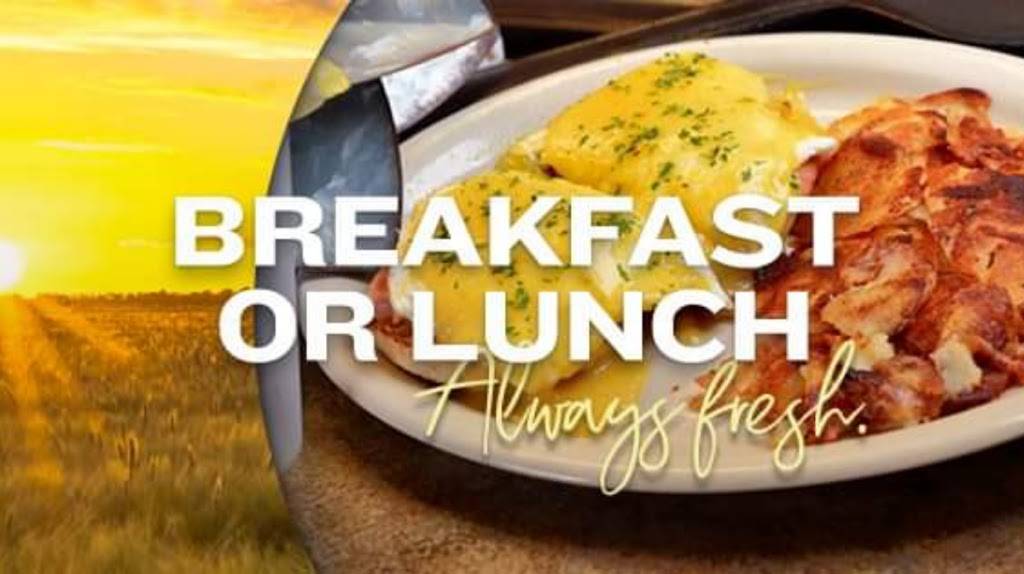 The Cafe At Micheal Ds | restaurant | 1407 Whipple Ave NW, Canton, OH 44708, USA | 3309564385 OR +1 330-956-4385