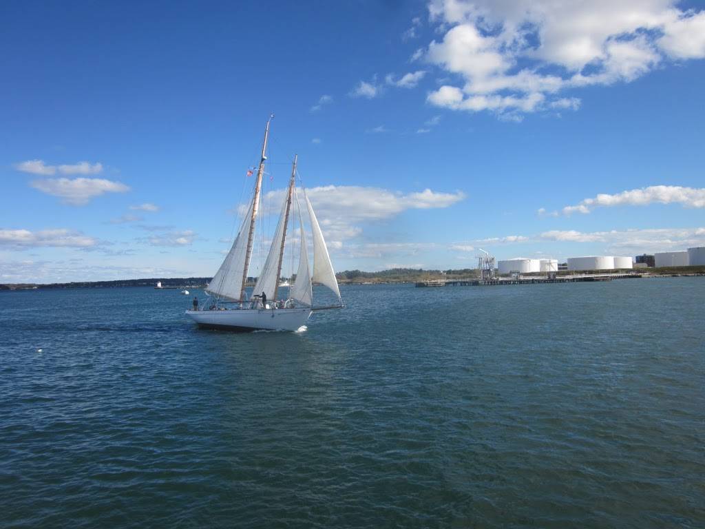 The Bay View Lady | restaurant | 170 Commercial St, Portland, ME 04101, USA | 2077740808 OR +1 207-774-0808