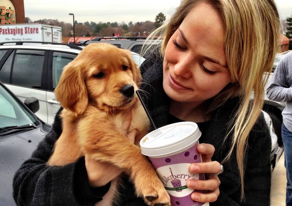 Elderberrys | restaurant | 3555 Electric Rd, Roanoke, VA 24018, USA | 5407760600 OR +1 540-776-0600