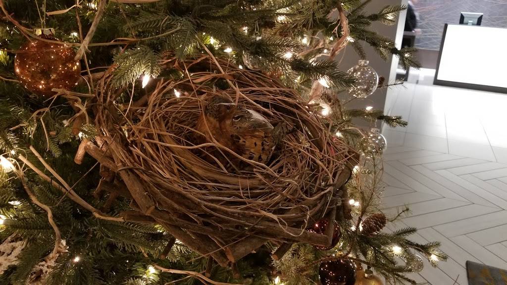 Stave Regional Kitchen and Lounge | night club | 700 Cool Springs Blvd, Franklin, TN 37067, USA | 6152616100 OR +1 615-261-6100