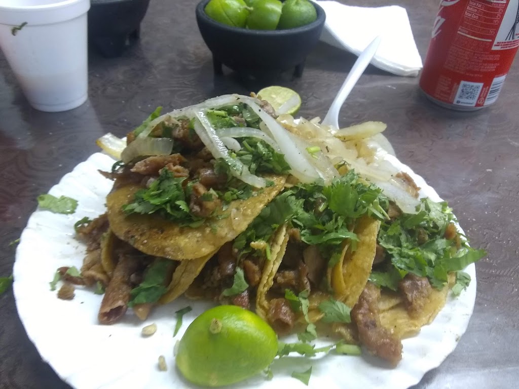 taqueria plaza rb #6 | restaurant | 1705 N Tower Rd, Alamo, TX 78516, USA | 9568845365 OR +1 956-884-5365