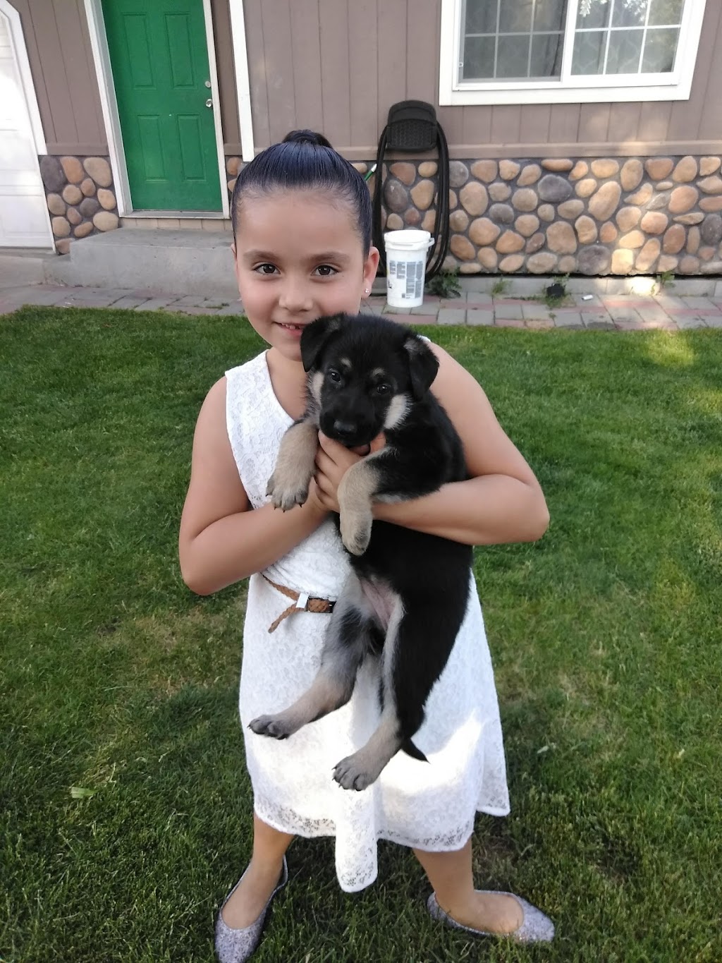 Sanchez Tacos | restaurant | 3102 Castlevale Rd, Yakima, WA 98902, USA | 5098334314 OR +1 509-833-4314