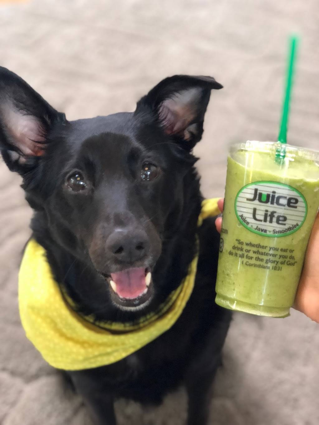 Juice Life | restaurant | 712 Jake Alexander Blvd W, Salisbury, NC 28147, USA | 7046038959 OR +1 704-603-8959