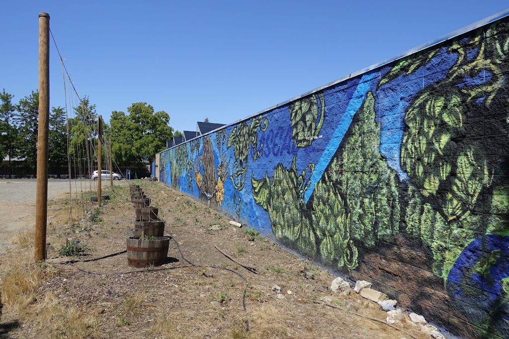 Sudwerk Brewing Co. Dock Store | restaurant | 2001 2nd St, Davis, CA 95618, USA | 5303023222 OR +1 530-302-3222