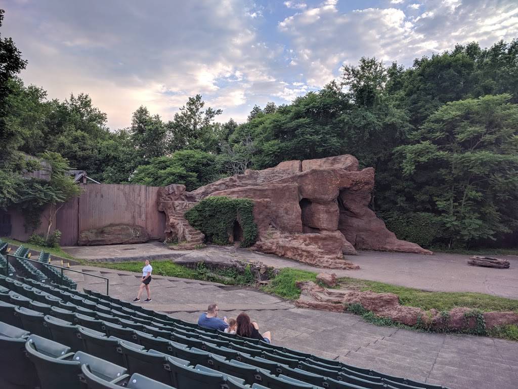 Trumpet In The Land | restaurant | 1600 Trumpet Dr NE, New Philadelphia, OH 44663, USA | 3303645111 OR +1 330-364-5111