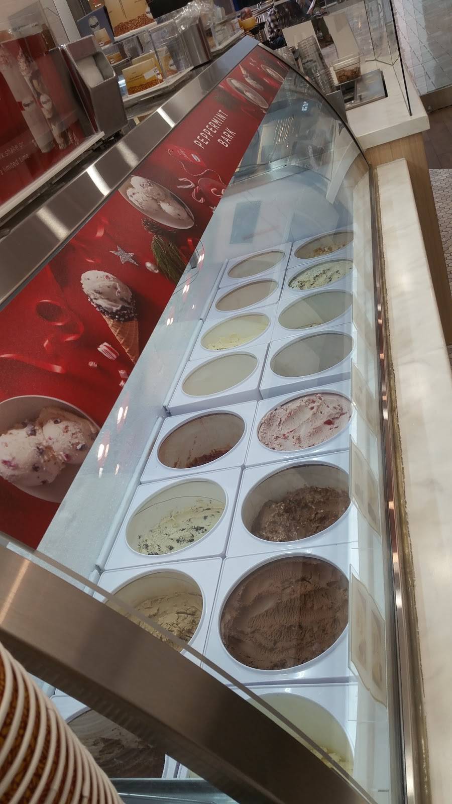 Häagen-Dazs | restaurant | 1961 Chain Bridge Rd, McLean, VA 22102, USA | 7037120882 OR +1 703-712-0882