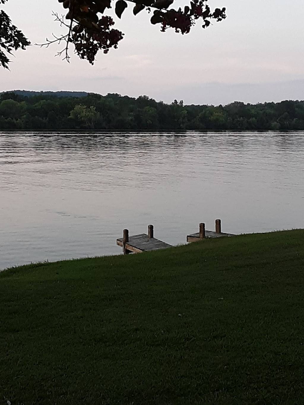 Cottonport Marina Restaurant | restaurant | Decatur, TN 37322, USA | 4234544110 OR +1 423-454-4110