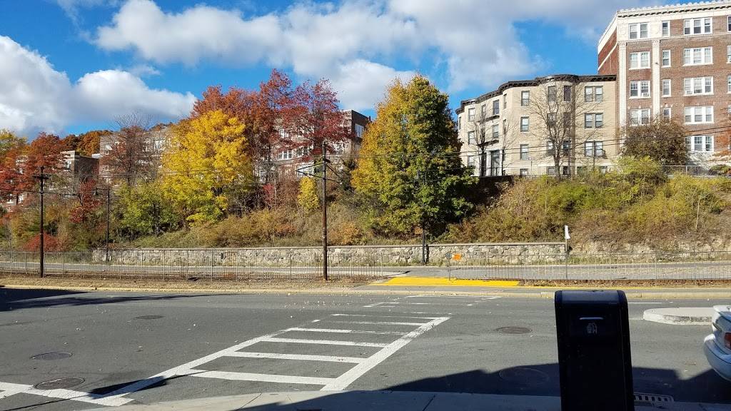 Dolce Vita Cafe | cafe | 1698 Commonwealth Avenue, Boston, MA 02135, USA | 6172322380 OR +1 617-232-2380