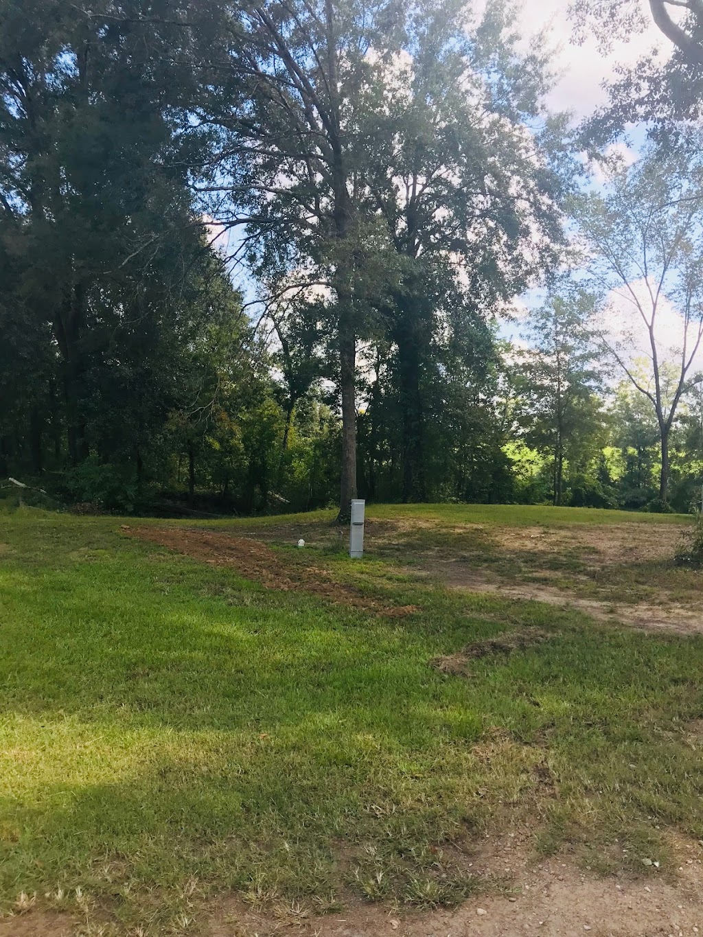 Joeys Moon Lake Marina | restaurant | 231 Moon Lake Rd, Monroe, LA 71203, USA | 3183816982 OR +1 318-381-6982