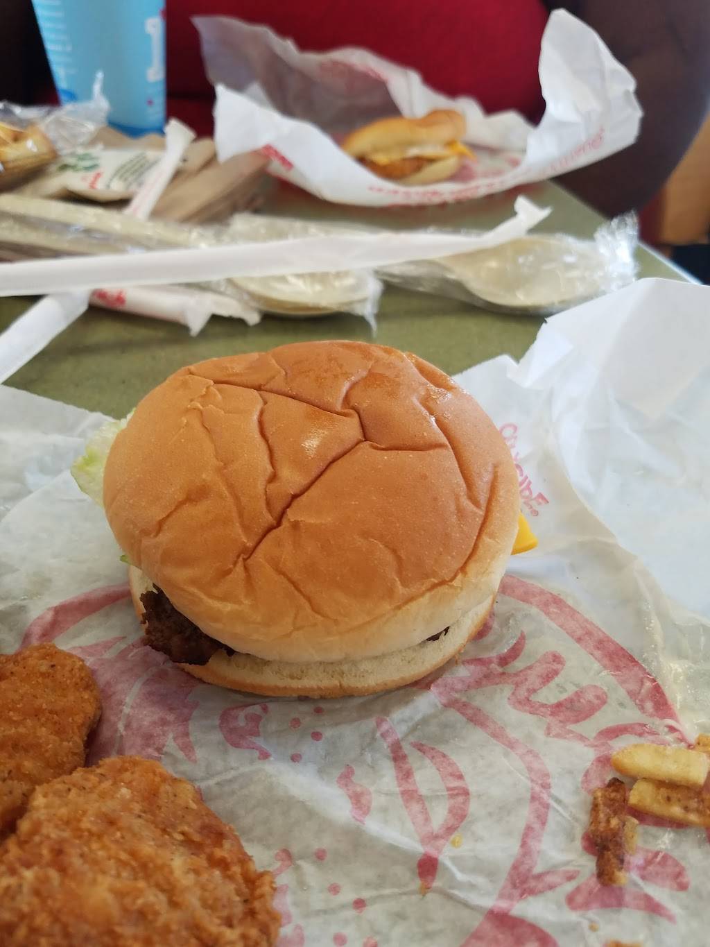 Wendys | restaurant | 3100 Western Branch Blvd, Chesapeake, VA 23321, USA | 7574847076 OR +1 757-484-7076