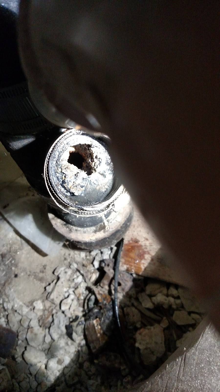 Landos Inc | restaurant | 770 Manchester Dr, Chattanooga, TN 37415, USA | 4238758825 OR +1 423-875-8825