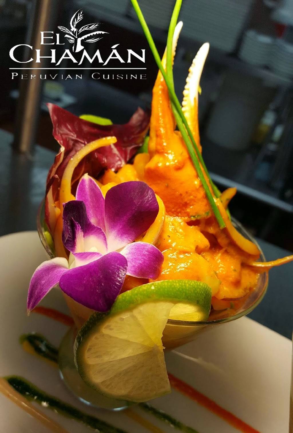 El Chaman Peruvian Restaurant | restaurant | 14241 SW 42nd St, Miami, FL 33175, USA | 3052295133 OR +1 305-229-5133