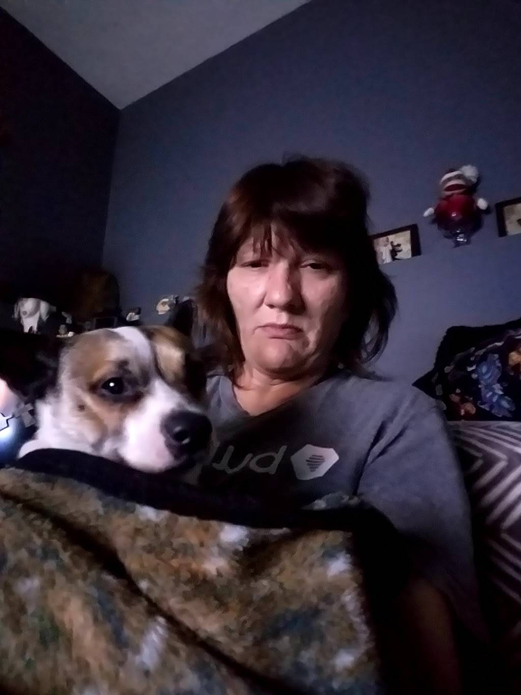 Sams Pizza | restaurant | Antioch, TN 37013, USA | 6157318911 OR +1 615-731-8911