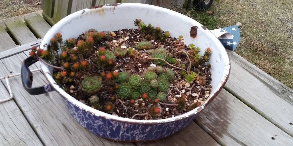 Jincys Kitchen | cafe | 31392 S Qualls Rd, Park Hill, OK 74451, USA | 9184575515 OR +1 918-457-5515