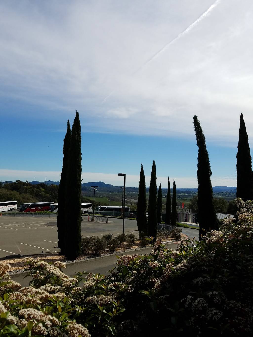 River Rock Casino | restaurant | 3250 CA-128, Geyserville, CA 95441, USA | 8778837777 OR +1 877-883-7777