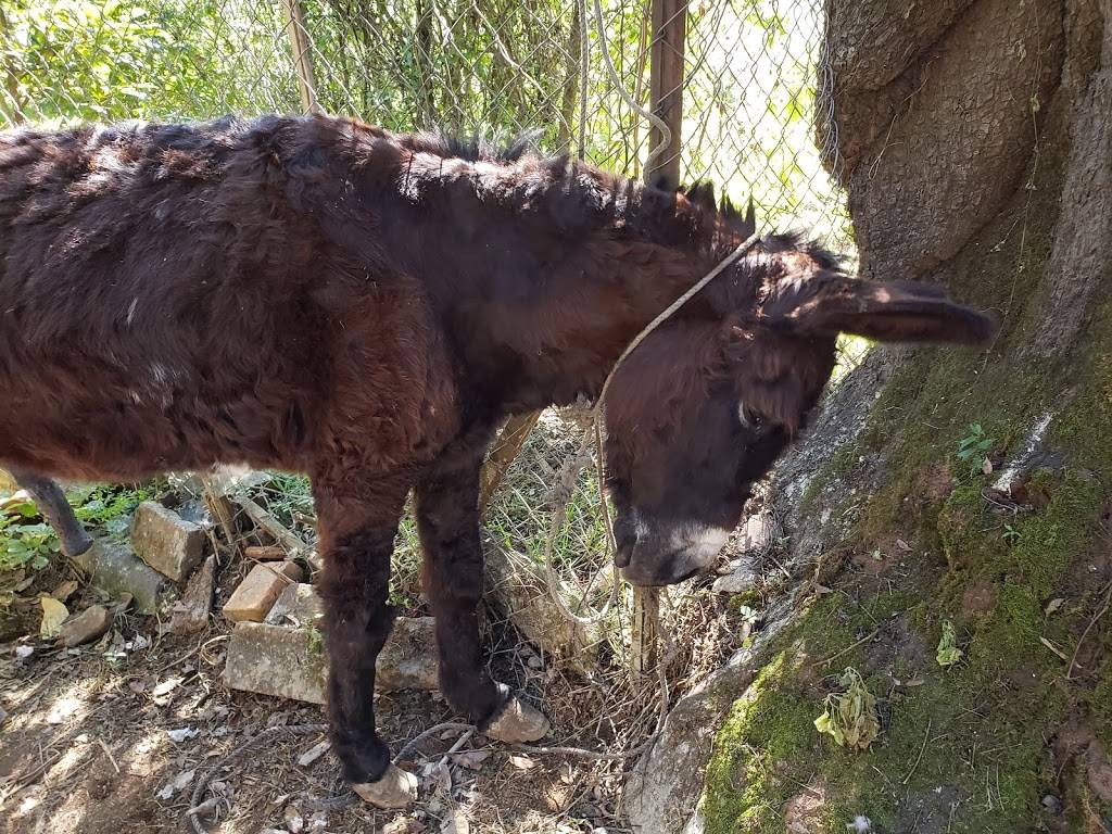 Burger King | restaurant | 7900 Atlantic Ave, Cudahy, CA 90201, USA | 2135604424 OR +1 213-560-4424