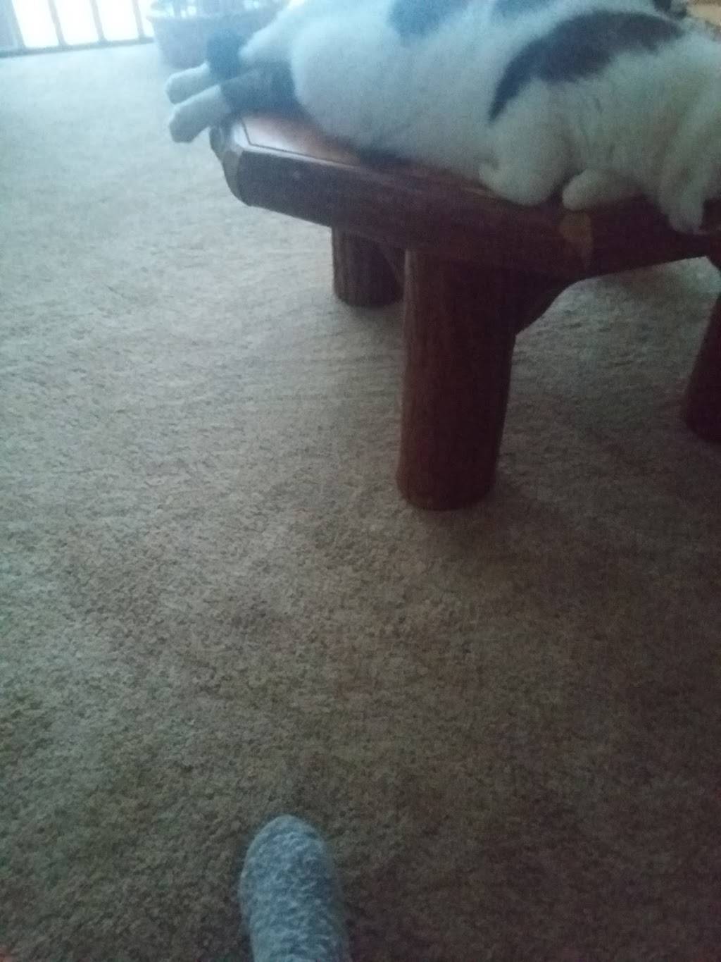 Pascarellas Restaurant | restaurant | 12 Washington St, Cattaraugus, NY 14719, USA | 7162573394 OR +1 716-257-3394