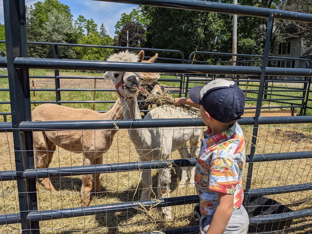 Lazy Breeze Farm and The Burger Buggy | restaurant | 155 Burnham Rd, Waltham, VT 05491, USA | 8027714685 OR +1 802-771-4685