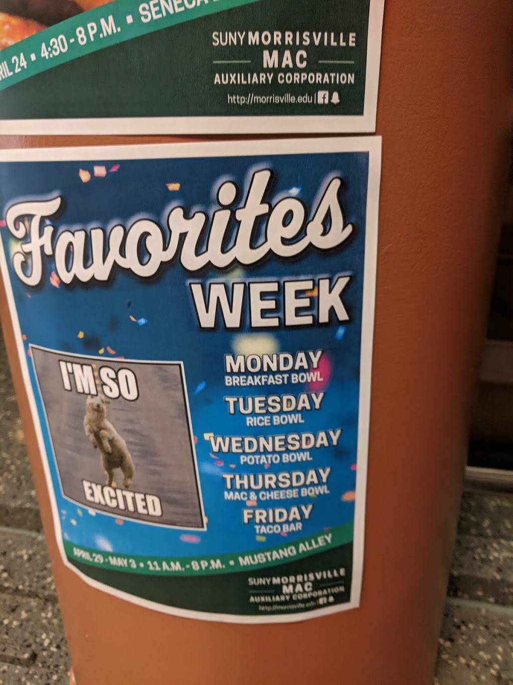 Mustang Alley | restaurant | 80 Eaton St, Morrisville, NY 13408, USA | 3156846673 OR +1 315-684-6673