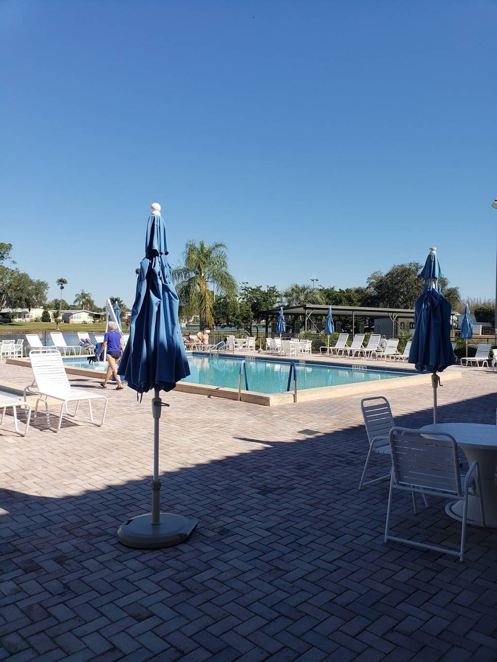 Schalamar Creek Restaurant | restaurant | 4500 US-92, Lakeland, FL 33801, USA | 8636661623 OR +1 863-666-1623