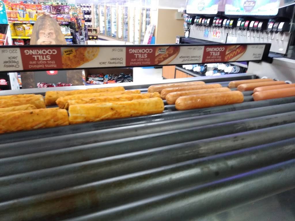 Circle K | meal takeaway | 446 S Lakeview Dr, Lake Helen, FL 32744, USA | 3862282555 OR +1 386-228-2555