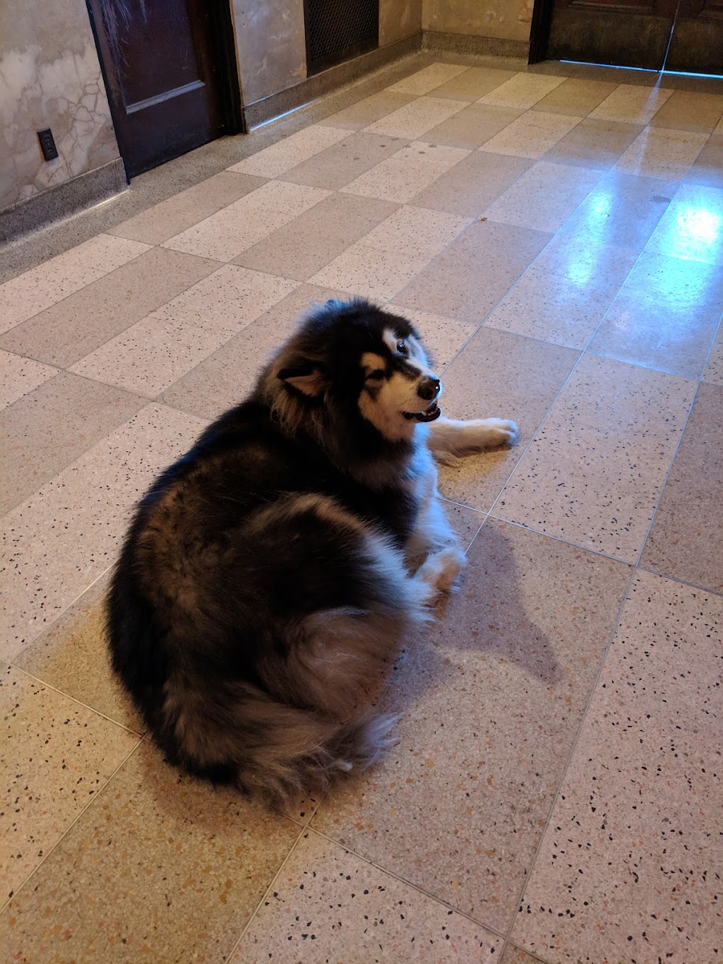 Mad Art Gallery | restaurant | 2727 S 12th St, St. Louis, MO 63118, USA | 3147718230 OR +1 314-771-8230