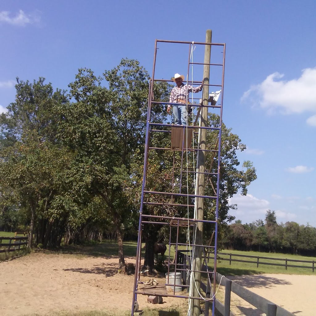 Shell | restaurant | 24916 FM2978, Tomball, TX 77375, USA | 5752839503 OR +1 575-283-9503