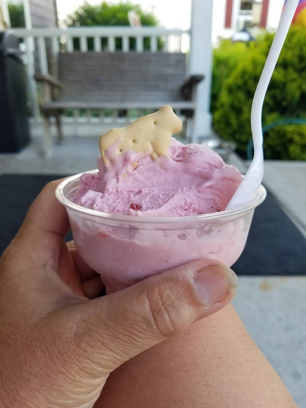 Grumpys Ice Cream and Popcorn | restaurant | 7849 WI-42, Egg Harbor, WI 54209, USA | 9208689494 OR +1 920-868-9494