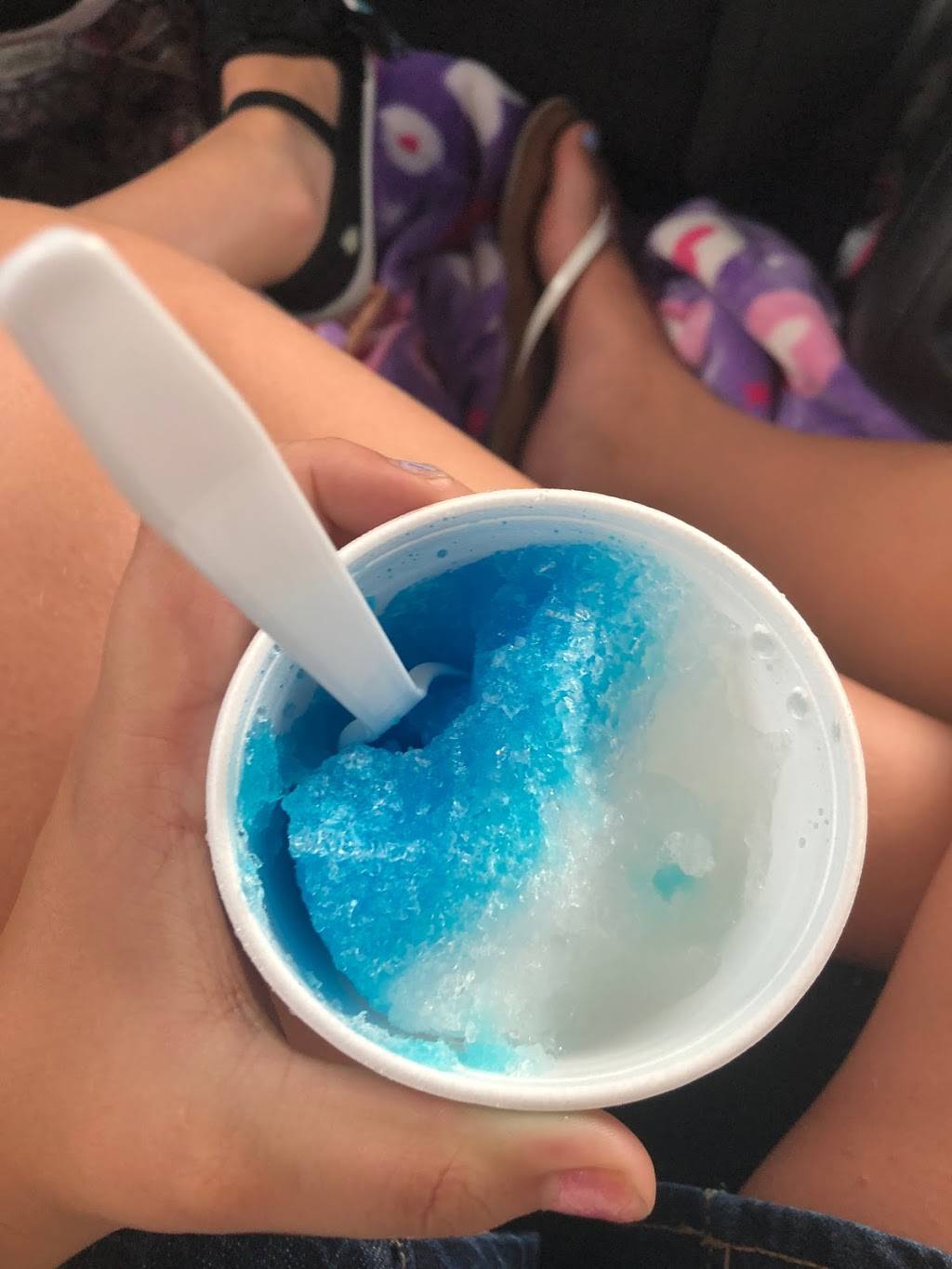 The Snowball Station | restaurant | 7415 US-301, Riverview, FL 33578, USA | 7273791167 OR +1 727-379-1167