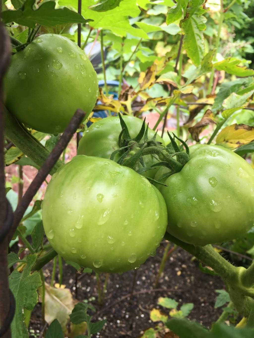 Arley D. Cathey Dining Commons | restaurant | 6025 S Ellis Ave, Chicago, IL 60637, USA | 8558623463 OR +1 855-862-3463