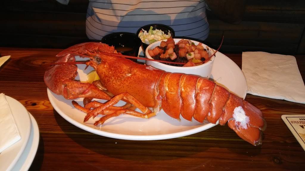 Millers Ale House - Seminole | restaurant | 7695 113th St N, Seminole, FL 33772, USA | 7274519573 OR +1 727-451-9573