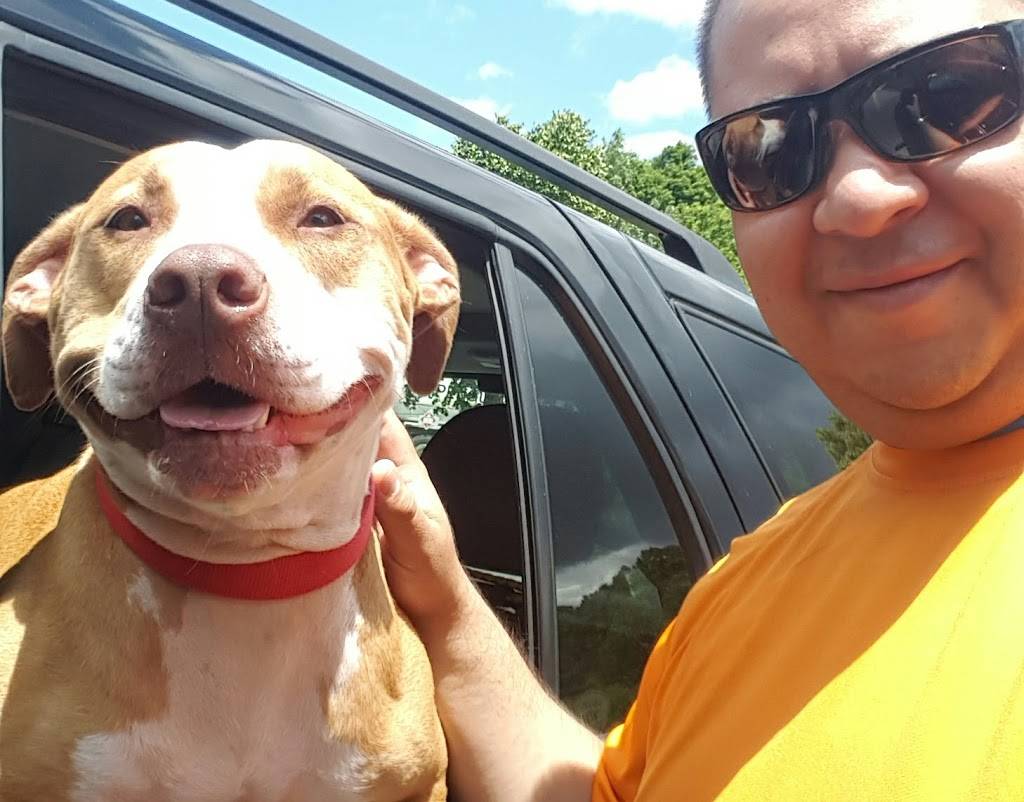 Subway Restaurants | restaurant | 2035 NY-52, Liberty, NY 12754, USA | 8452920218 OR +1 845-292-0218