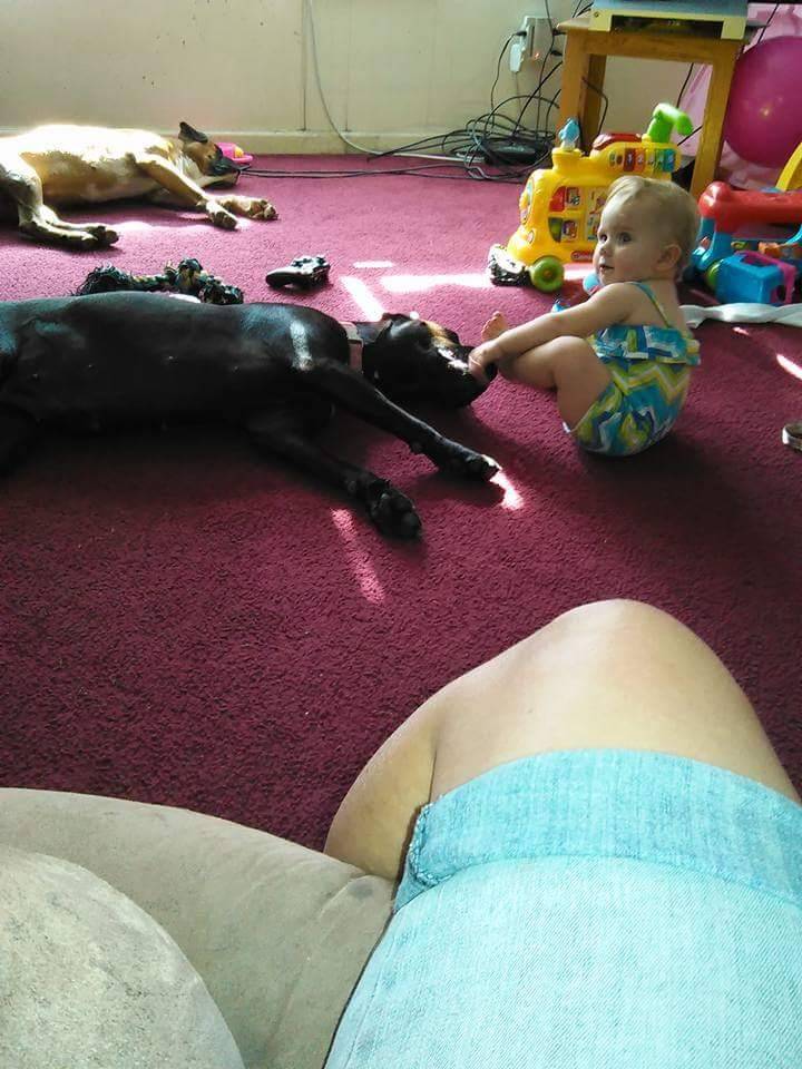 Auntie Annes | cafe | 771 S 30th St, Heath, OH 43056, USA | 7405220669 OR +1 740-522-0669