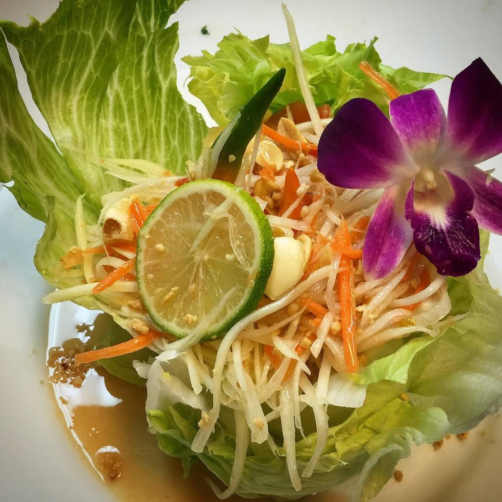 Oishi Thai | meal takeaway | 14841 Biscayne Blvd, North Miami, FL 33181, USA | 3059474338 OR +1 305-947-4338