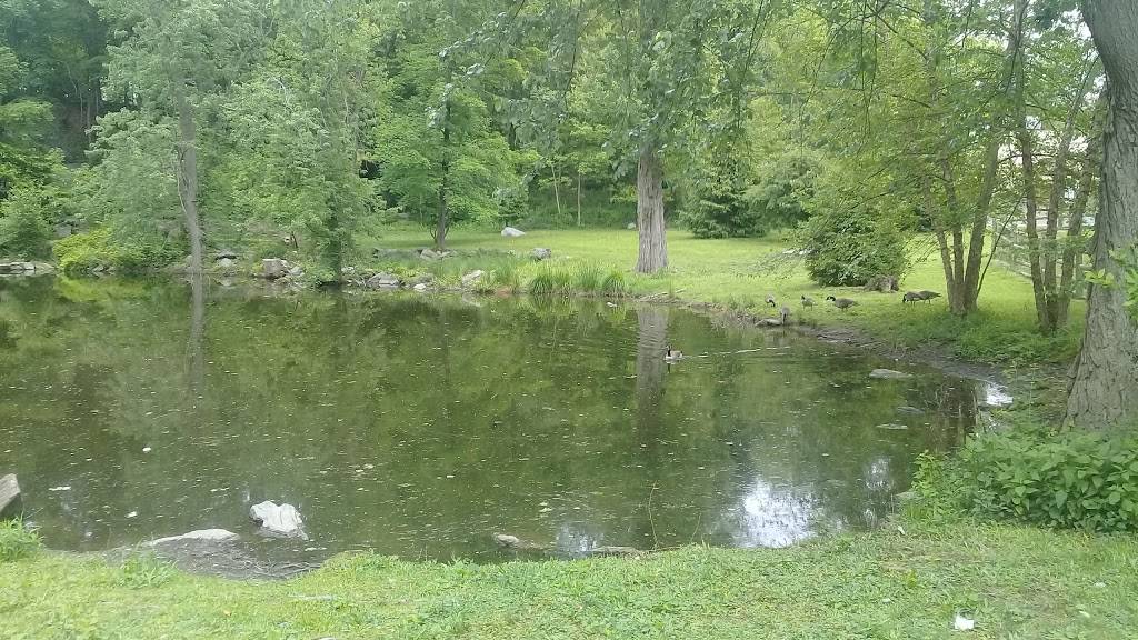 Wedged In Deli & Catering | meal takeaway | 605 Old White Plains Rd, Tarrytown, NY 10591, USA | 9143664212 OR +1 914-366-4212