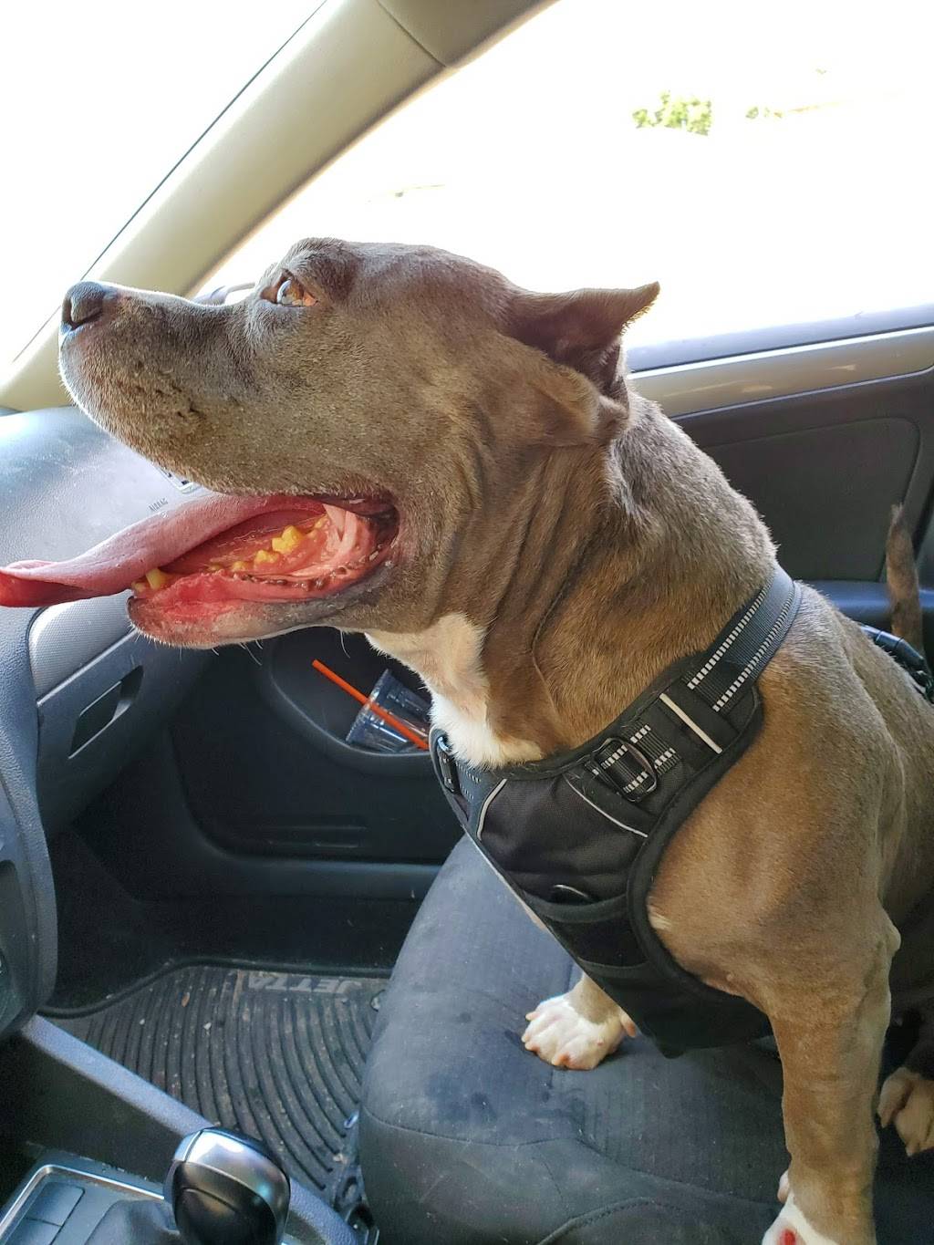 Smoothie King Grand Prairie | meal delivery | 1205 Arkansas Ln #200, Grand Prairie, TX 75052, USA | 9726415464 OR +1 972-641-5464