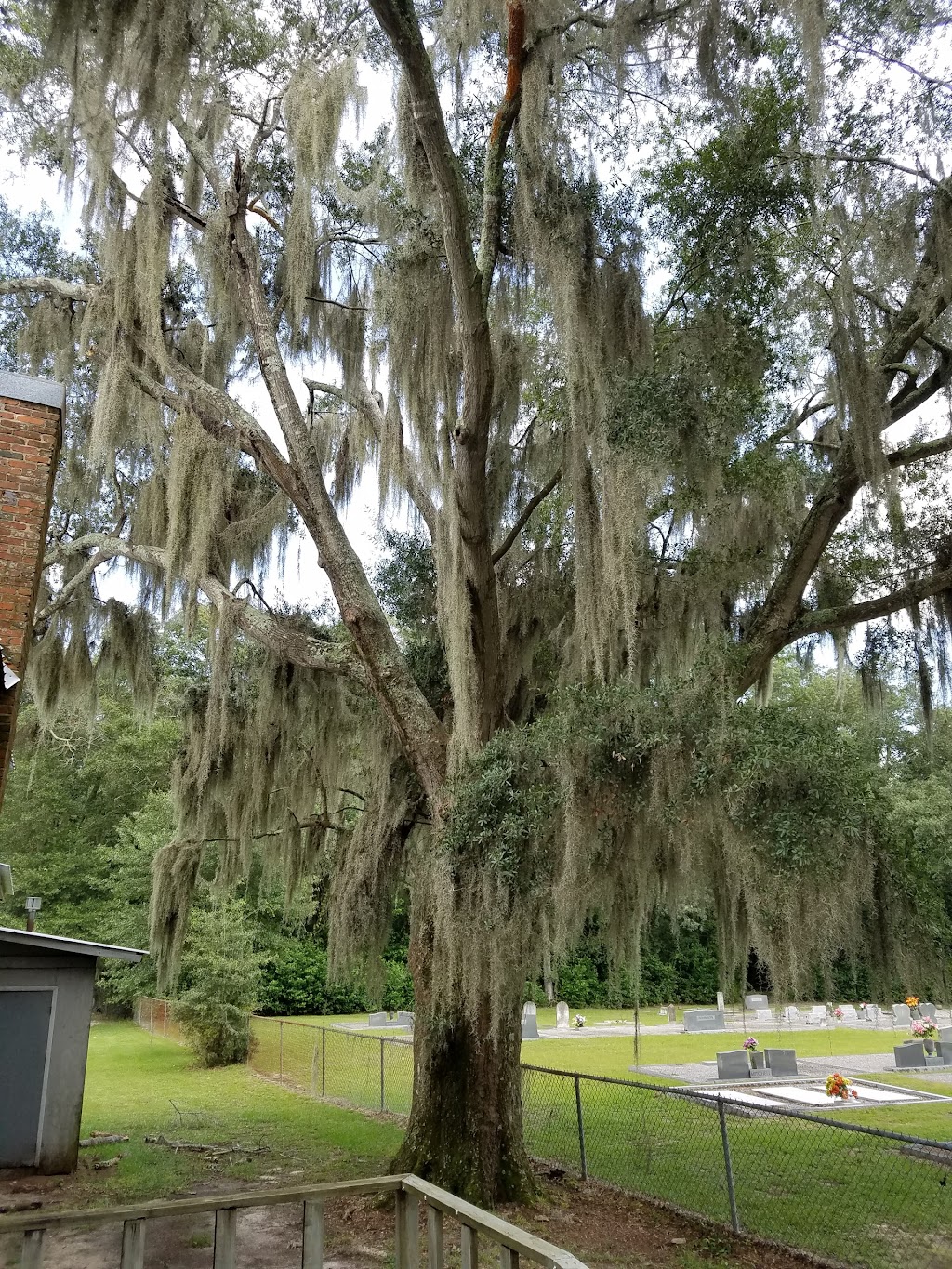 Mossy Grove School House | restaurant | 1841 AL-87, Troy, AL 36079, USA | 3345664921 OR +1 334-566-4921