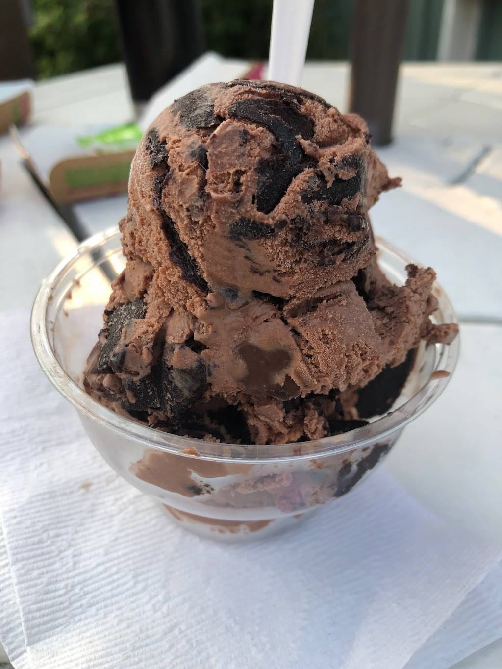 Mountain Mist Custard | restaurant | 260 Lake Flower Ave, Saranac Lake, NY 12983, USA | 6038487629 OR +1 603-848-7629