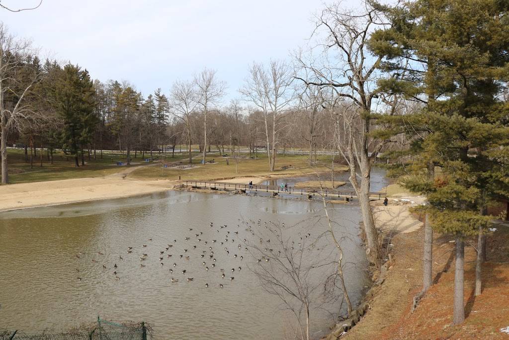 Buzzards Landing At HINCKLEY LAKE | restaurant | 44233 Township, Hinckley, OH 44233, USA | 3302782160 OR +1 330-278-2160