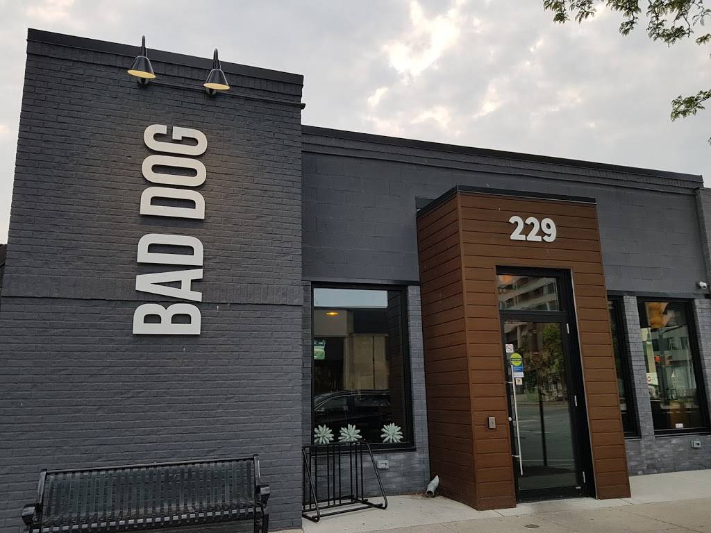 Bad Dog Sarnia | restaurant | 229 Christina St N, Sarnia, ON N7T 4C1, Canada | 5194917930 OR +1 519-491-7930